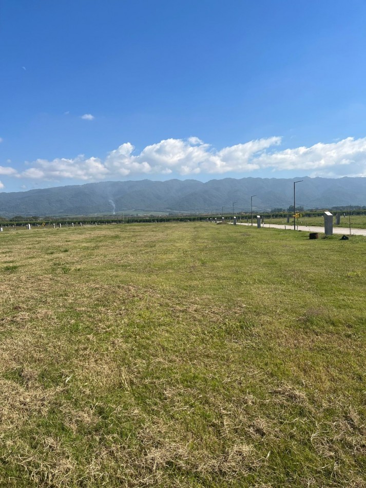 TERRENO EN VENTA CENTRAL EN VIENTO SUR