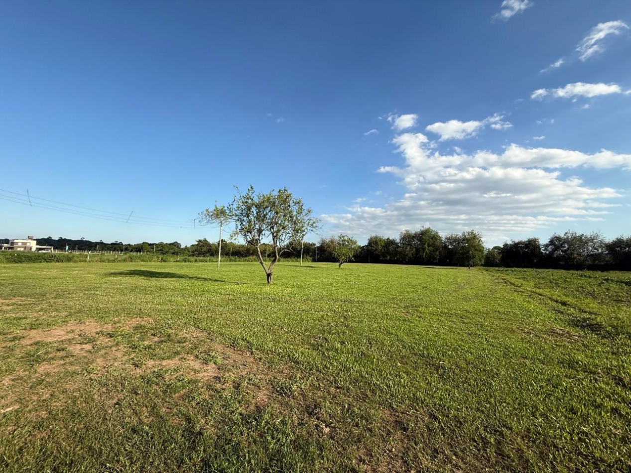 Finca de 5 a 7 HA en El Manantial- a metros de Yerba buena, ideal para desarrollistas 