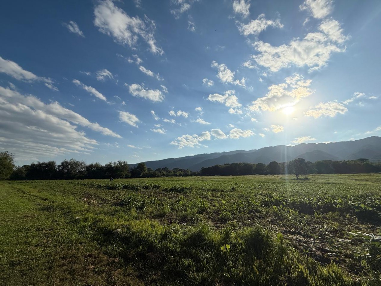 Finca de 5 a 7 HA en El Manantial- a metros de Yerba buena, ideal para desarrollistas 