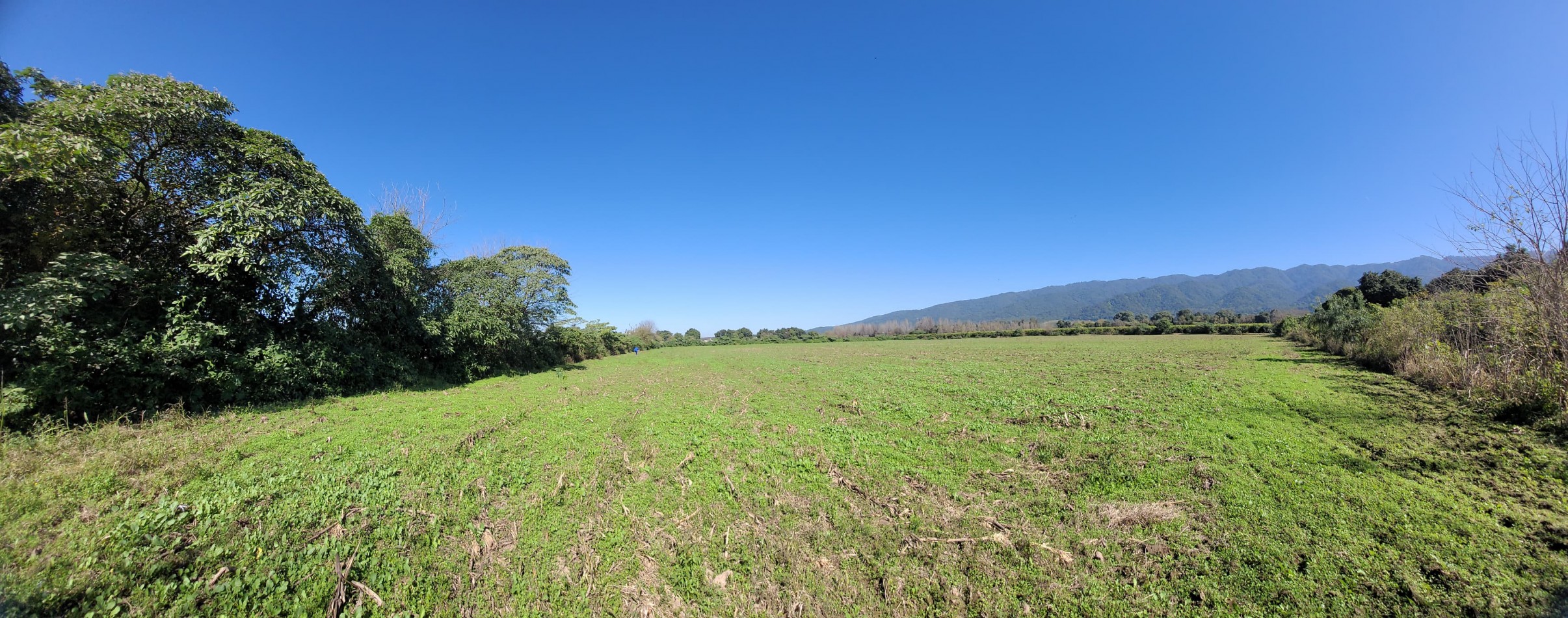 VENTA 4 HECTAREAS EN YERBA BUENA-IDEAL PARA EMPRENDIMIENTO