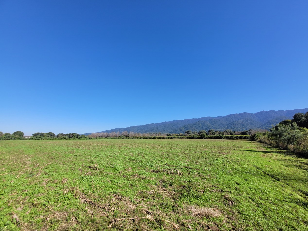VENTA 4 HECTAREAS EN YERBA BUENA-IDEAL PARA EMPRENDIMIENTO