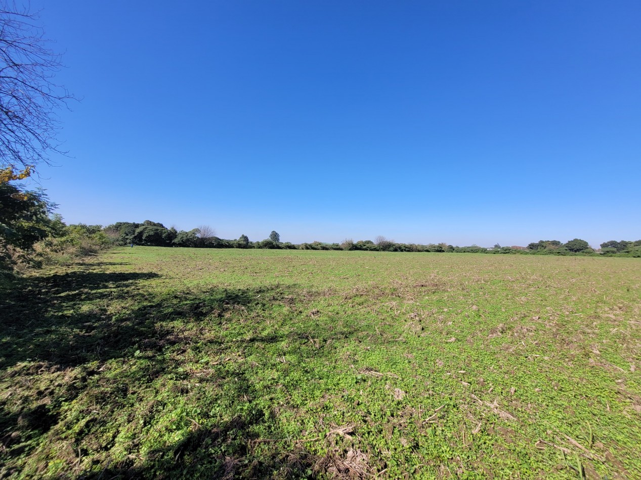 VENTA 4 HECTAREAS EN YERBA BUENA-IDEAL PARA EMPRENDIMIENTO