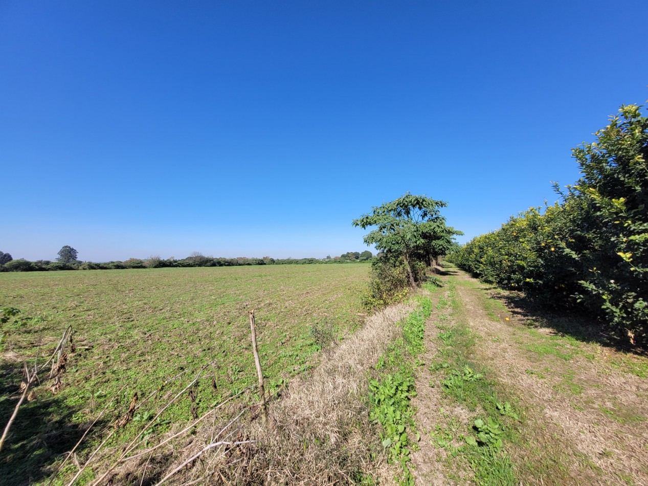 VENTA 4 HECTAREAS EN YERBA BUENA-IDEAL PARA EMPRENDIMIENTO
