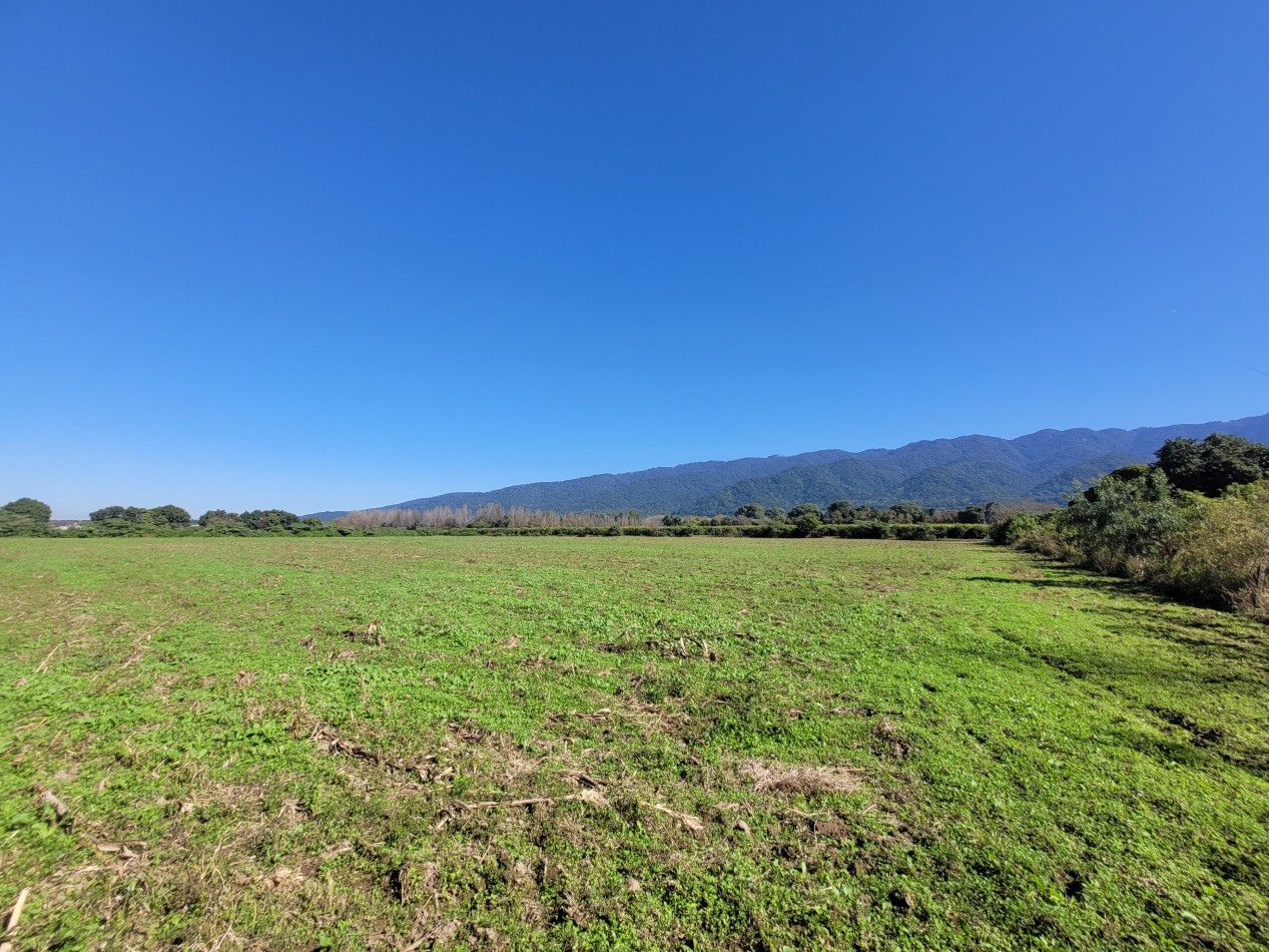 VENTA 4 HECTAREAS EN YERBA BUENA-IDEAL PARA EMPRENDIMIENTO