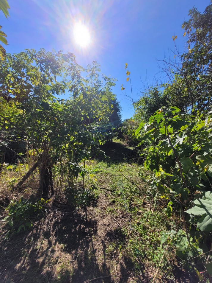 VENTA 4 HECTAREAS EN YERBA BUENA-IDEAL PARA EMPRENDIMIENTO