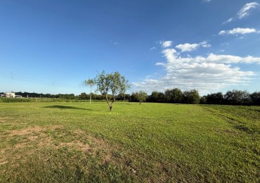 Finca de 5 a 7 HA en El Manantial- a metros de Yerba buena, ideal para desarrollistas 