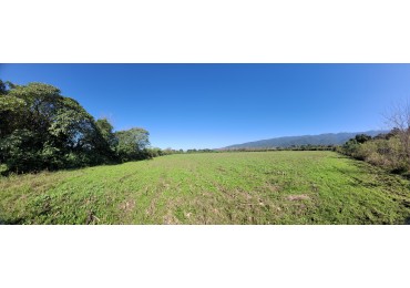 VENTA 4 HECTAREAS EN YERBA BUENA-IDEAL PARA EMPRENDIMIENTO