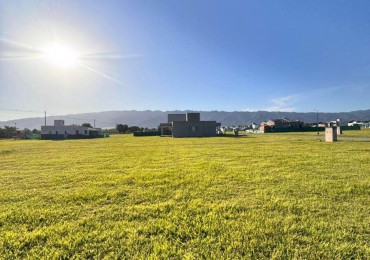 TERRENO ALTO VERDE 3 -  CEVIL REDONDO 